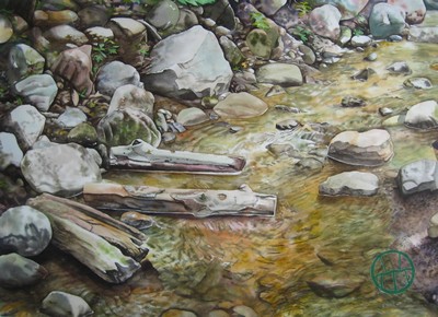 Looking into the Creek