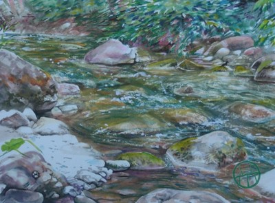 Looking into the Creek 3